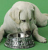Do You Call It a Bowl or a Dish?