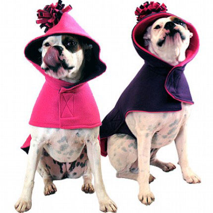 PetSugar Street Team: Turn Your Pillow Into a Dog Bed!