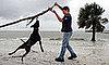 Do Tell: How Do You Enjoy Days Off With Your Pets?