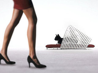 Chic Cats Crave Operetta: In the LINK of an Eye!