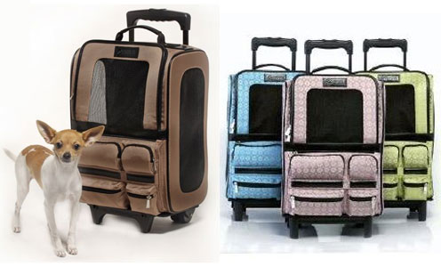 Pampered Pals: Jet Setter For Your Jet Setters