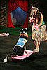 What Do You Know About the Border Collie?