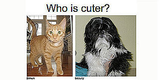 Play "Which Pet Is Cuter?"... and Win!