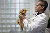 Does Your Pet Love the Vet?