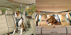 Pampered Pals: Zip Line Dog Car Harnesses Pampered Pals: Zip Line Dog Car Harnesses