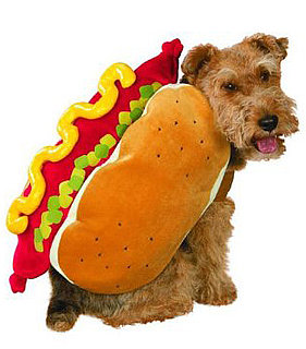 Online Sale Alert! Target Halloween Costumes for Pets