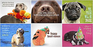 The Scoop: Evite Adds a Pet Party Invitation Section!