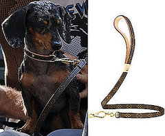 Do Agyness Deyn's Doggies Have LV Knockoffs or Not?