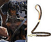 Do Agyness Deyn's Doggies Have LV Knockoffs or Not?