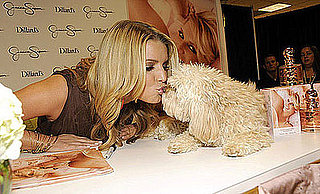 In the Spotlight: Daisy Helps Jessica Be Fancy