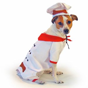 Come PetMarking Challenge: Halloween Costumes For Pets