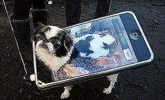 Do Tell: Pets Plus Tech Equals . . . Do Tell: Pets Plus Tech Equals . . .