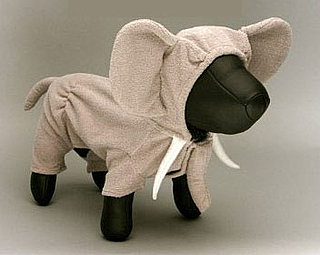 Mission Completed: Halloween Costumes For Pets