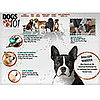 Tune In, Saturday! Animal Planet's Dogs 101