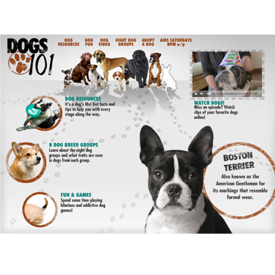 Tune In, Saturday! Animal Planet's Dogs 101 Tune In, Saturday! Animal Planet's Dogs 101