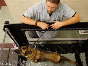 The Scoop: Military Hospital Opens For Combat-Wounded Pups