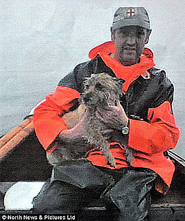 Fishermen Caught Dog, Not Fish: In the LINK of an Eye!
