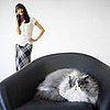 Pet Peeves: Kitty Confuses Chair For Litterbox!