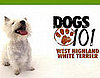 Do You Remember the Latest Pups From Dogs 101?