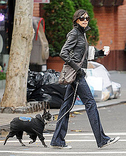Famke and Licorice Brave the Cold (NY)City Streets