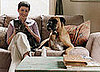 Who Senses It Better: Cats, Dogs, or People?