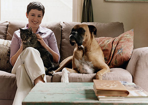 Who Senses It Better: Cats, Dogs, or People?