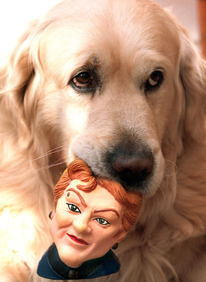 6. Chew Toys