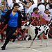 Great Dane