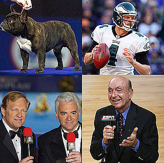 What Will You Watch Today: The NFL or National Dog Show?