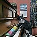 Tickling the ivories . . .