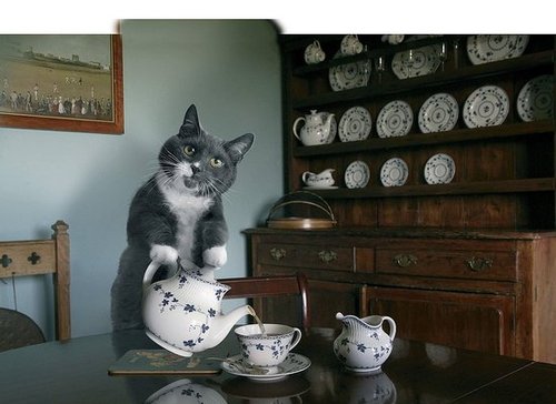 Tea for one Tea for one
