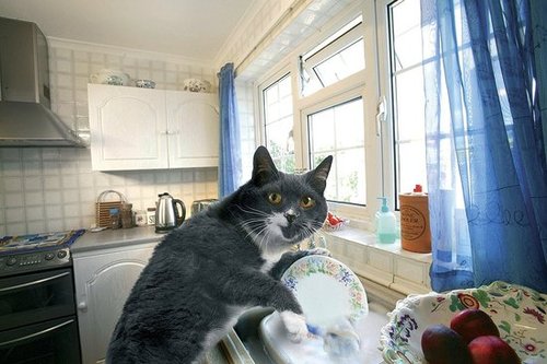 Breaking dishes Breaking dishes