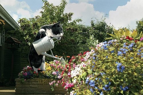What a Lovely Garden What a Lovely Garden