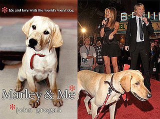 Did You Read Marley & Me?