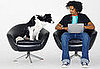 Where Do Fido and Fluffy Shop Online?