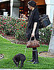 Follow Famke's Lead For Licorice After a Long Flight