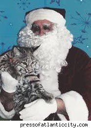 Pet Bobcat Attacks Santa at PetSmart: In the LINK of an Eye!