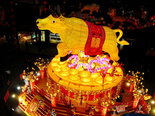 Quiz Nation! Happy Chinese New Year 