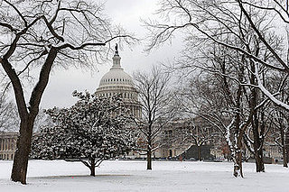 Briefing Book! GOP Senator Raises Stimulus Filibuster Option