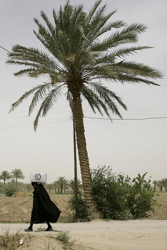 Women Want to be in al Qaeda