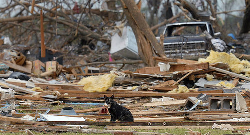 Huge Storms In Iowa and Minnesota Kill Eight