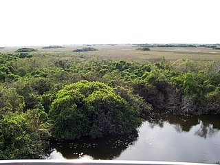 Big Sugar Sells Plantation to Florida