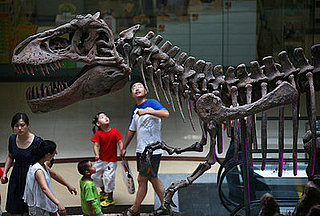 Global Warming Leaves No Choice But to Prepare For Extinction