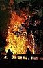 Islamic Group Threatens Forest Fire Jihad in Australia