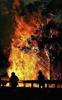 Islamic Group Threatens Forest Fire Jihad in Australia