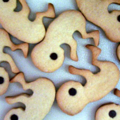 Fetus Cookies? Fetus Cookies?
