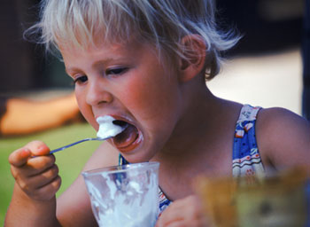Why Didn't Anybody Tell Me: Storing Food