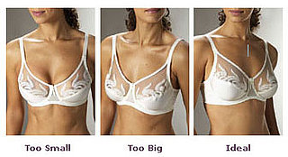 Tricks Another Mama Taught Me: Bra Fitting