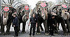 Do You Take Your Kids to the Circus?