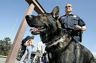 Parents Hire Drug-Sniffing Dogs to Check Up on Their Kids